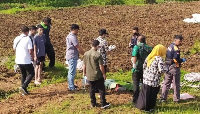 Petani Seperti Tidur di Sawah Garapannya, Ternyata Sudah Meninggal
