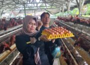 Bumdes Desa Sukakarsa Atasi Kenaikan Harga Telur