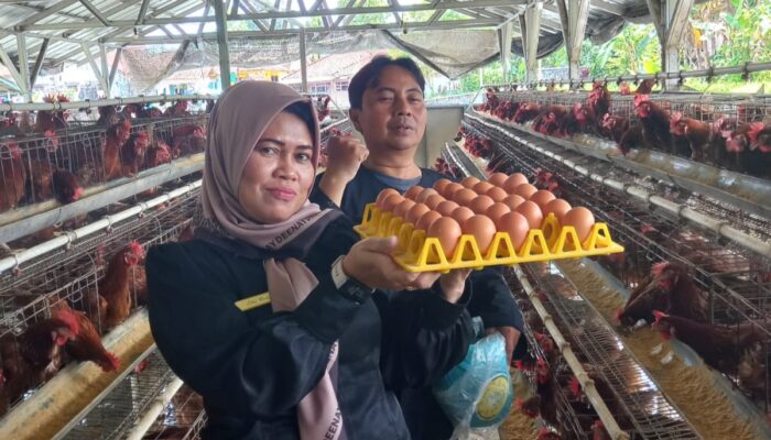 Bumdes Desa Sukakarsa Atasi Kenaikan Harga Telur