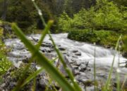 20 Sungai di Kota Bandung Kualitasnya Membaik