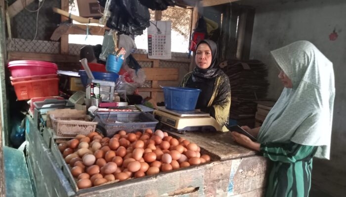 Banjir, Harga Telur Ayam Ras Turun Drastis