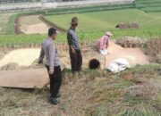 SUMEDANG: Polisi dan Petani Diskusi di Sawah, Pertajam Silaturahmi 