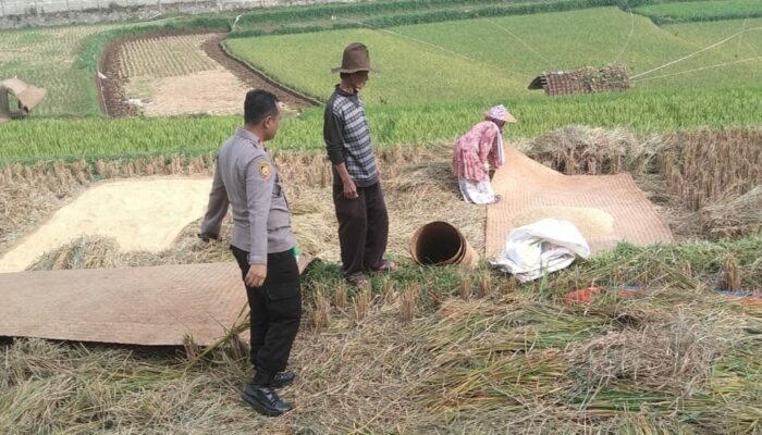 SUMEDANG: Polisi dan Petani Diskusi di Sawah, Pertajam Silaturahmi 