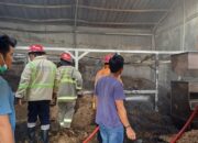 Kebakaran Gudang Sekam Kapol di Jalan HZ