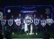 Turnamen Hero Esports 4.0, Siapa Minat