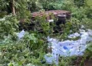 Truk Pengangkut Pupuk Masuk Jurang di Parentas