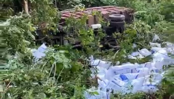 Truk Pengangkut Pupuk Masuk Jurang di Parentas