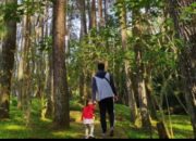 Tiket Masuk Tahura Ir. H. Juanda, Bisa Melalui Sapawarga