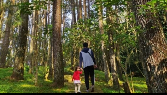 Tiket Masuk Tahura Ir. H. Juanda, Bisa Melalui Sapawarga