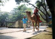 Pemkot Bandung Ambil Alih Lahan Kebun Binatang
