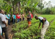 Kabupaten Sukabumi Miliki Petani Milenial Terbanyak