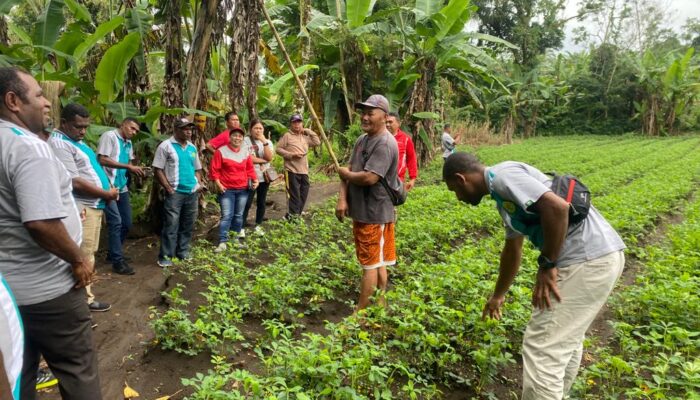 MAYBRAT: Potensi Petani dan Penyuluh Pertanian Digeliatkan