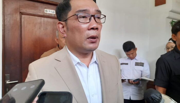 Kembangkan Industri Mobil Listrik, Ridwan Kamil Jemput Bola ke Tiongkok