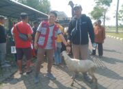 PT PYI Sebar Puluhan Ekor Hewan Kurban untuk Warga Desa Sukasirna Cianjur