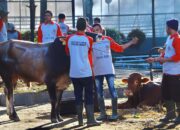 Polda Jabar: 957 Hewan Kurban Disalurkan, Peringati Iduladha dan Hari Bhayangkara ke-77
