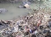 CIANJUR: Warga Pasirmangga Keluhkan Sampah di Aliran Sungai Citarum