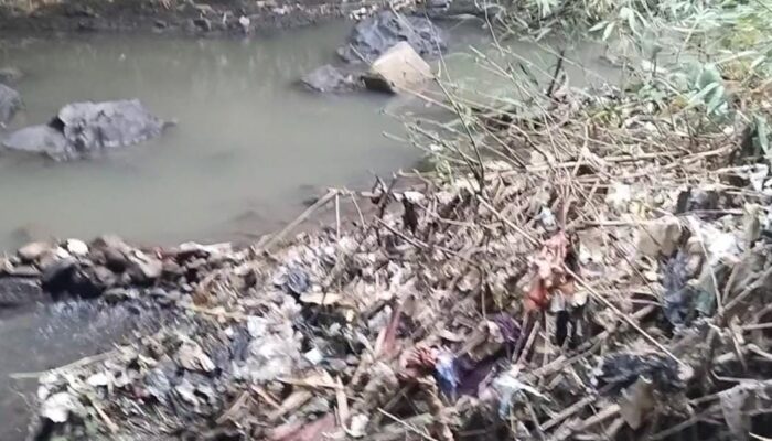 CIANJUR: Warga Pasirmangga Keluhkan Sampah di Aliran Sungai Citarum