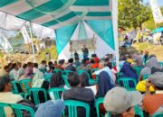 MAJALENGKA: Varietas R7 Bikin Petani Jagung Sumringah, Taklukan Hama Mematikan