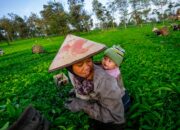 PNM Gelar Literasi Kesehatan Ibu dan Anak, Diikuti 15 Ribu Nasabah