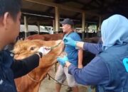 Pemkab Tasik Perketat Tranportasi Ternak dari Luar Daerah