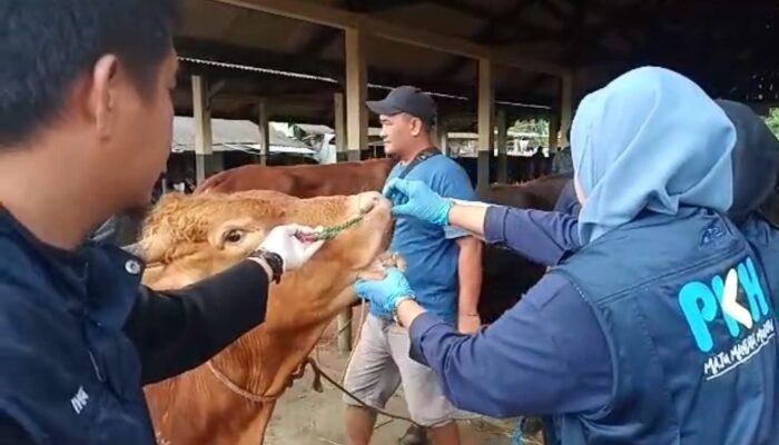 Pemkab Tasik Perketat Tranportasi Ternak dari Luar Daerah