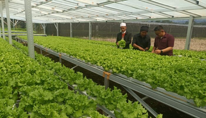 Pemberdayaan Desa Berdikari Tanjungpura Rajapolah, Sehari Hasilkan Rp 3 Juta