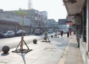 Mitigasi Perubahan Iklim, Pemkot Bandung Tanam 100 Pohon Pule di Jalan Sudirman