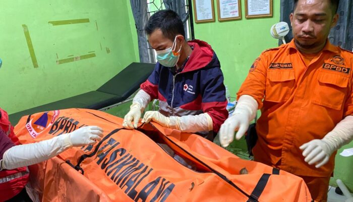 Seorang Kakek Ditemukan di Atas Pohon Kelapa Setinggi 17 Meter