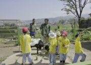 SERU, Tangkap Ikan dan Domba di Sein Farm