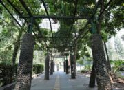 Pemkot Bandung Percantik Kawasan Ganesha