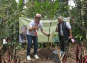 81 Ribu Hektare Lahan Kritis di Jabar telah Pulih