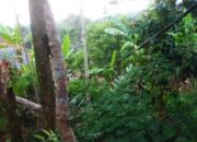 SUMEDANG: Kabel Listrik di Buahdua Membahayakan, Malah Dibiarkan