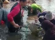 Nguber, Tradisi Warga Cibubuan Sumedang Saat Musim Kemarau