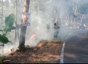 Kebakaran Lahan Kebon Jati di Cipatujah