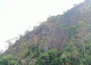 4 Hektare Hutan Gunung Jayanti Sukabumi Terbakar, BPBD Bergerak