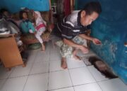 Lantai Warung Mendadak Panas di Mangkubumi