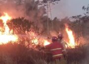 Lagi, Kebakaran Lahan Kosong di Kota Tasik