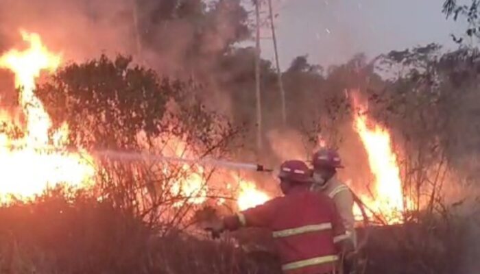 Lagi, Kebakaran Lahan Kosong di Kota Tasik