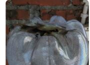 Galon kemasan PET juga Belum Tentu Aman, Ini Alasannya