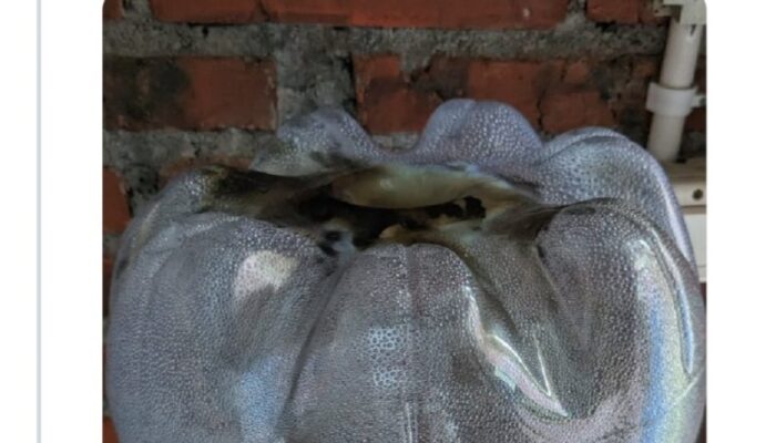 Galon kemasan PET juga Belum Tentu Aman, Ini Alasannya