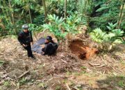 Granat Meledak di Kebun, Warga Panik