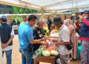 KREATIF! Pasar Pasisian Leuweung di Mata Air Cikandung Sumedang