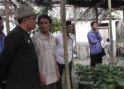 Pemkab Tasik Maksimalkan Manggis, Pulihkan Ekonomi Pascapandemi