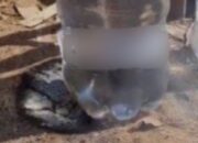 Tersengat Panas, Galon PET Picu Api