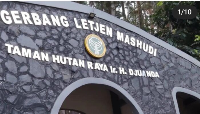 TAHURA Djuanda Direvitalisasi, Rampung Desember 2023