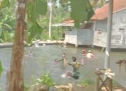 Berjudi Dahulu, Berenang ke Tepian Kolam di Purbaratu