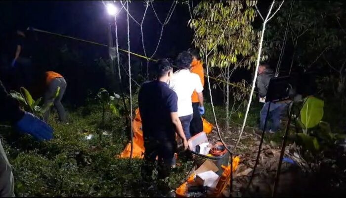 Dikira Boneka, Ternyata Mayat Perempuan di Kebun