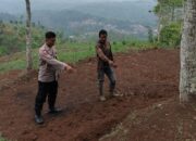 Petani Temukan Mortir di Kadipaten