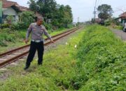 Lansia Tertemper Kereta Baturaden di Indihiang Tasik, Selamat