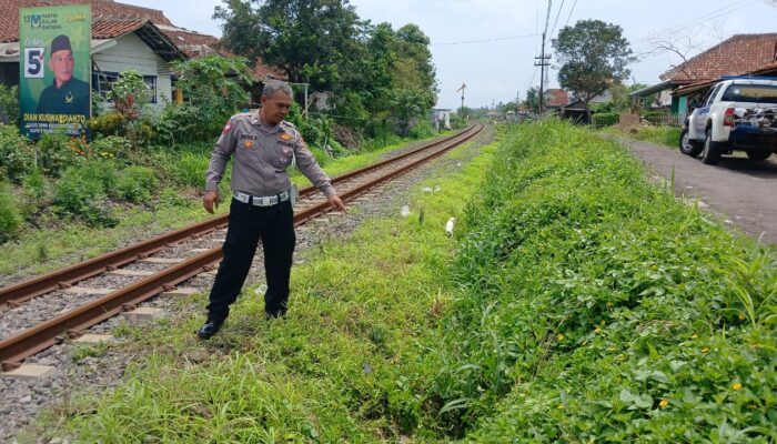 Lansia Tertemper Kereta Baturaden di Indihiang Tasik, Selamat